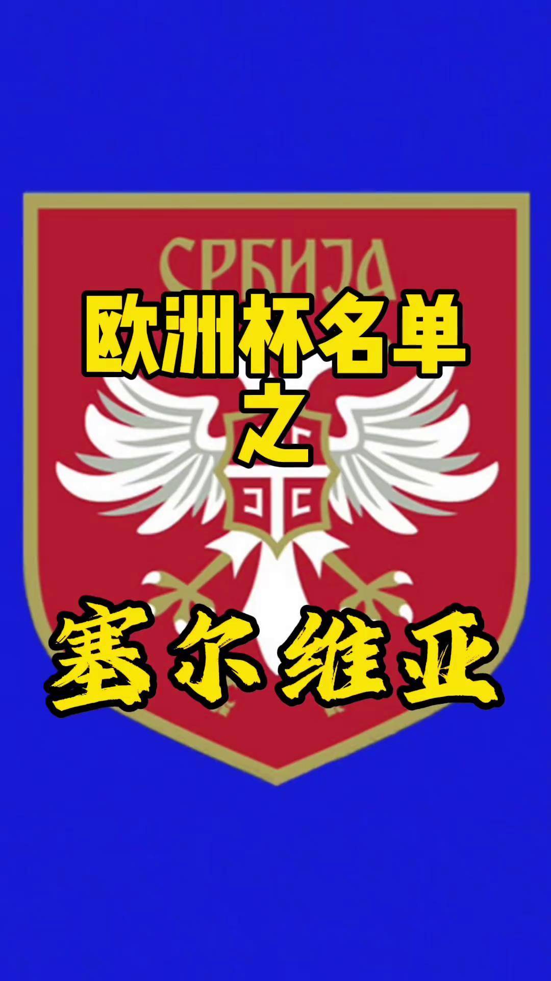 塞尔维亚队在欧预赛中获得重要胜利，晋级